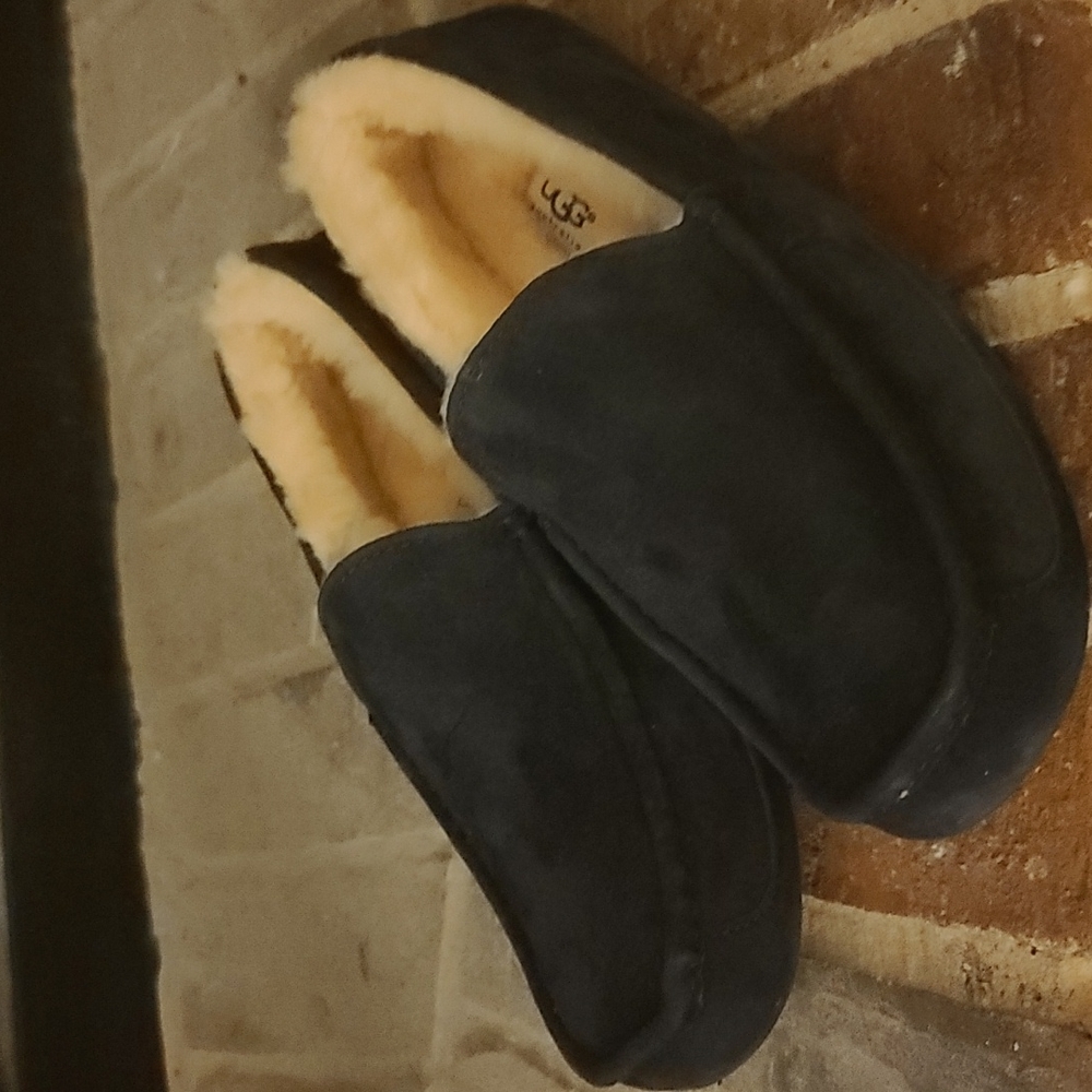 UGG Ascot men's slippers